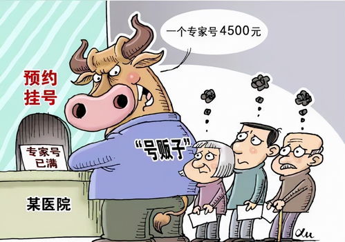 票務亂象調查 票圈利益交割，處理黃牛也不能完全“清朗”票務服務